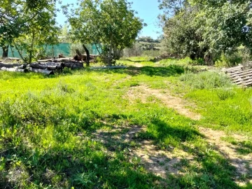 Terreno para Venda em Conceição e Estoi