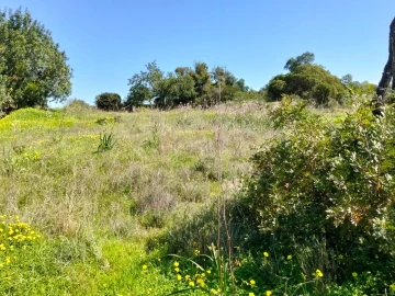 Terreno para Venda em Conceição e Estoi
