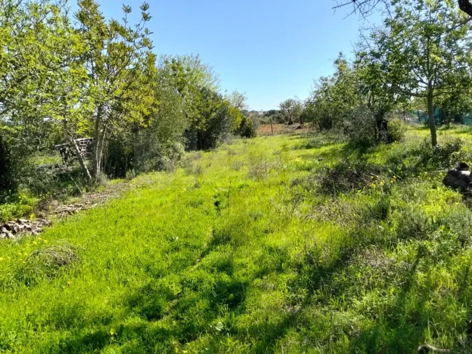 Terreno para Venda em Conceição e Estoi Foto 3