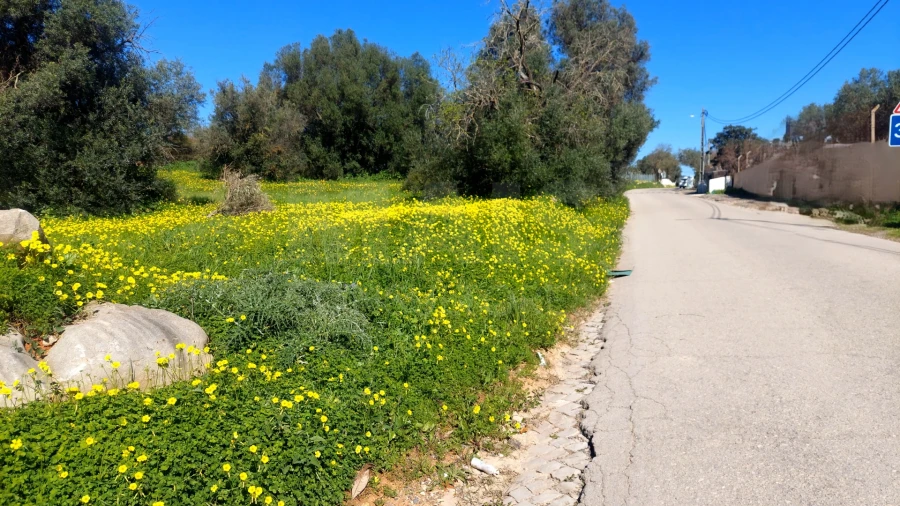 Terreno para Venda em Pechão