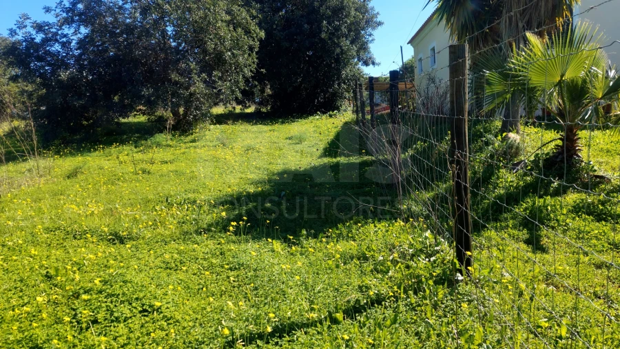 Terreno para Venda em Pechão