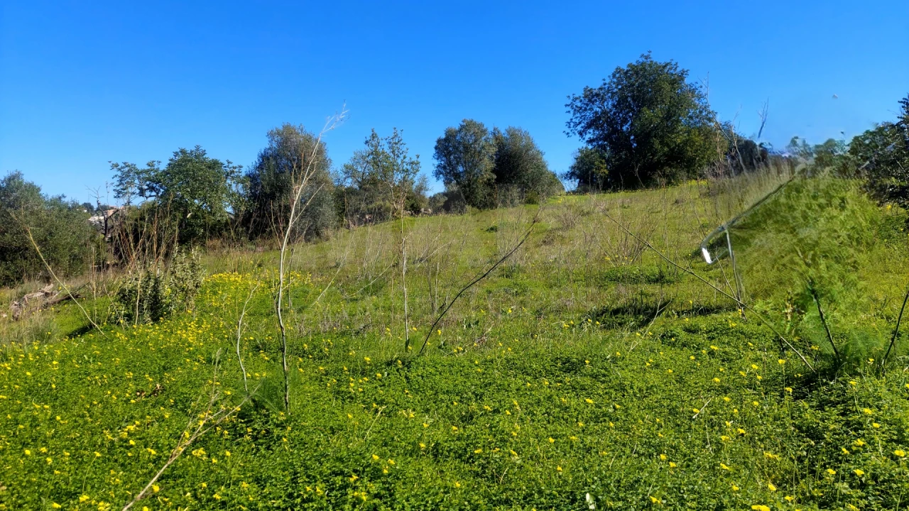 Terreno para Venda em Pechão Foto 4
