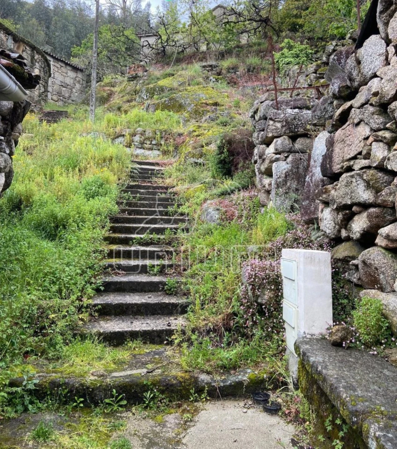 Moradia T2 para Venda em São Jorge e Ermelo Foto 4