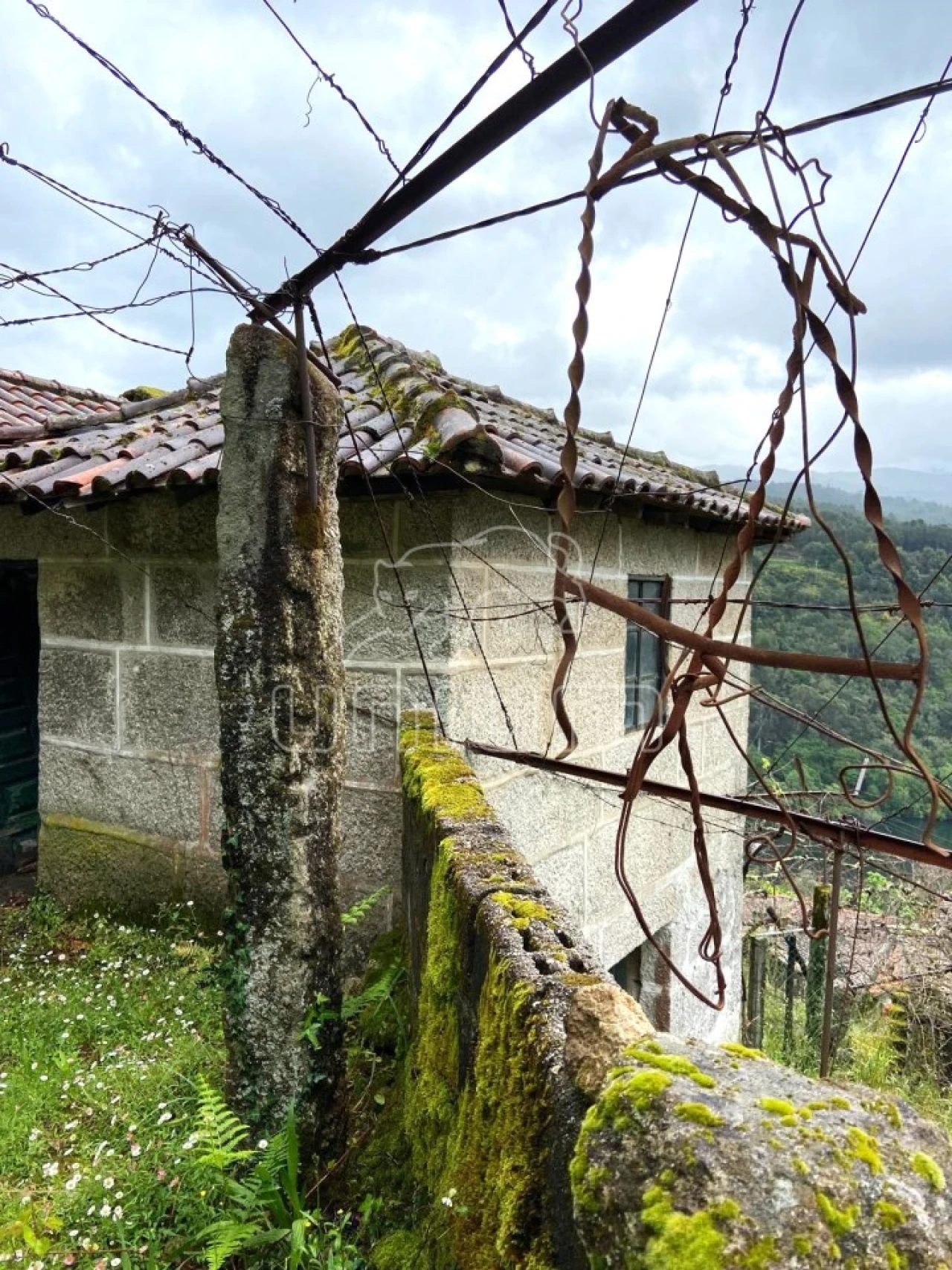 Moradia T2 para Venda em São Jorge e Ermelo Foto 2