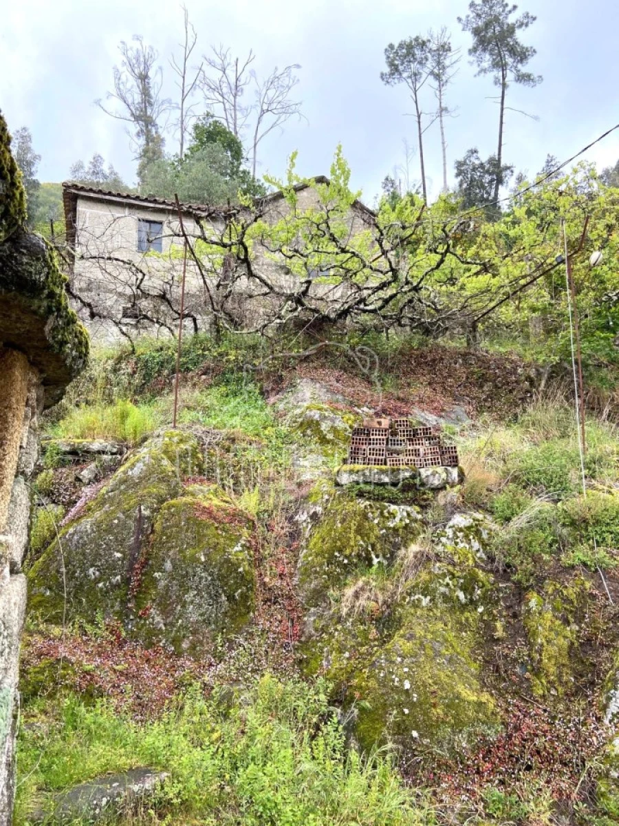 Moradia T2 para Venda em São Jorge e Ermelo Foto 3