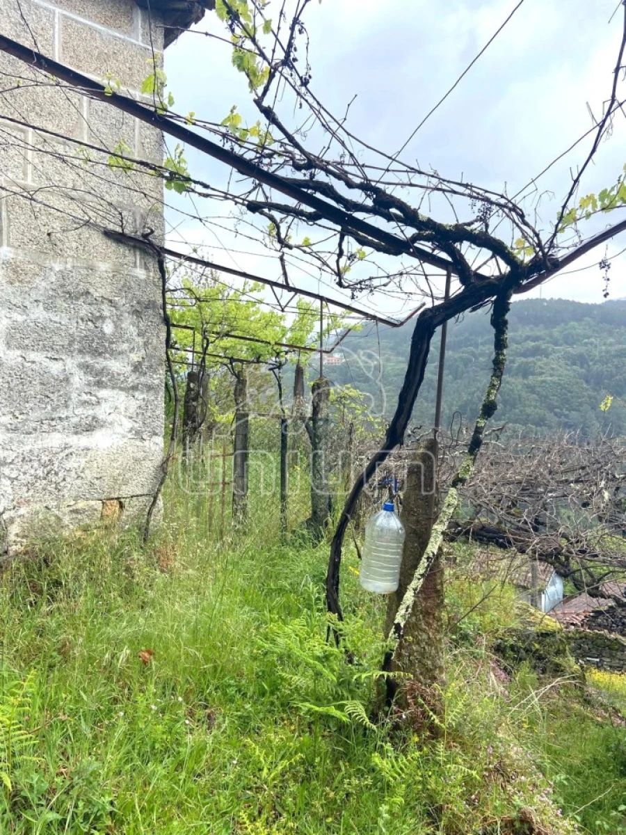 Moradia T2 para Venda em São Jorge e Ermelo Foto 5