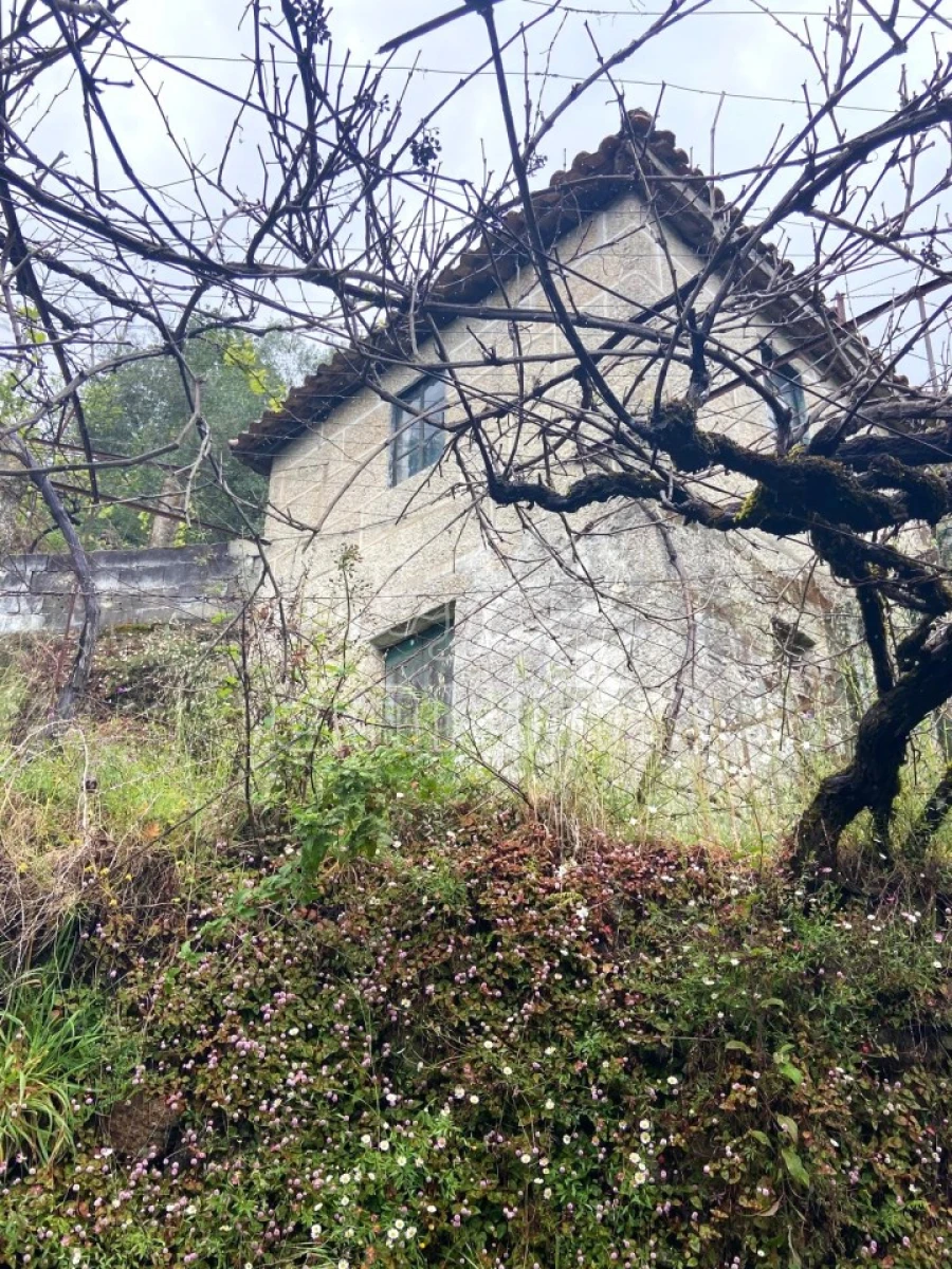 Moradia T2 para Venda em São Jorge e Ermelo Foto 6