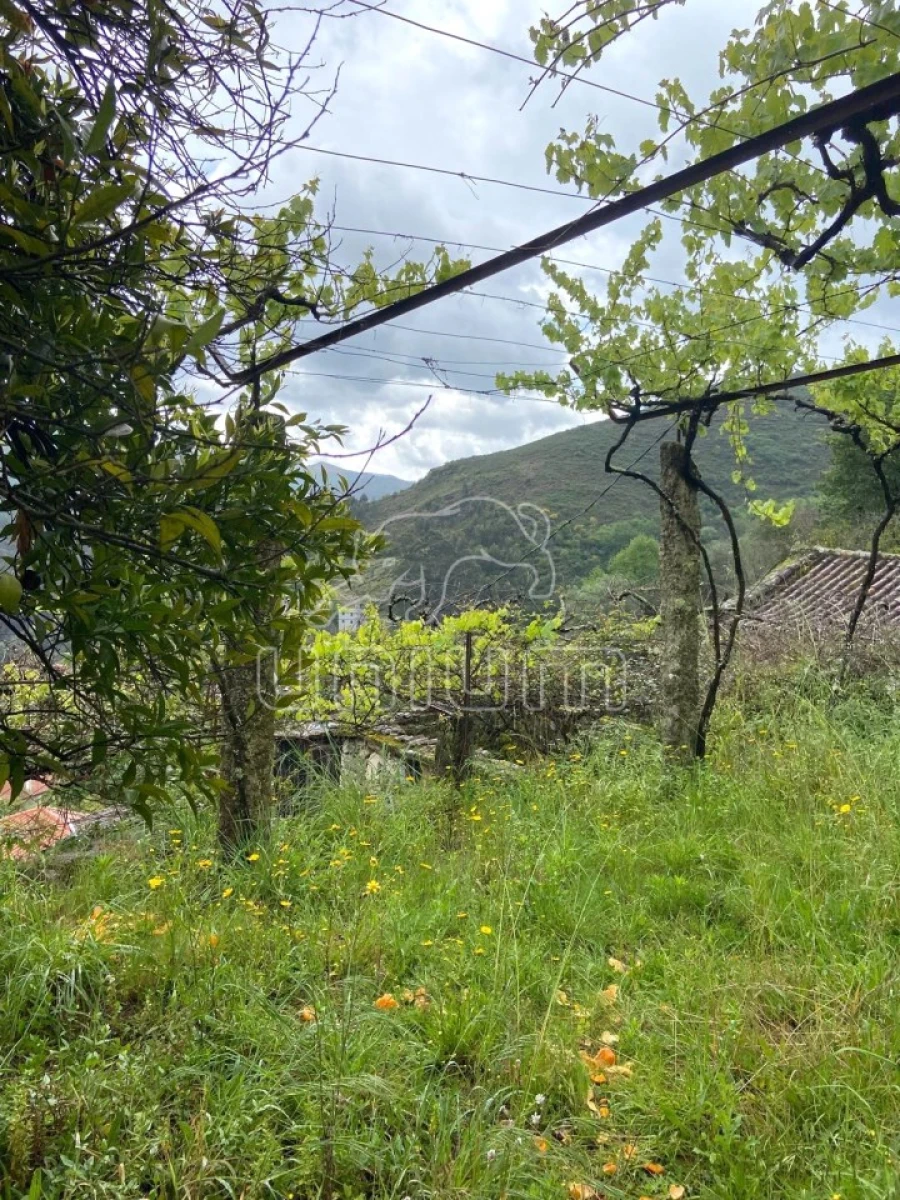 Moradia T2 para Venda em São Jorge e Ermelo Foto 7