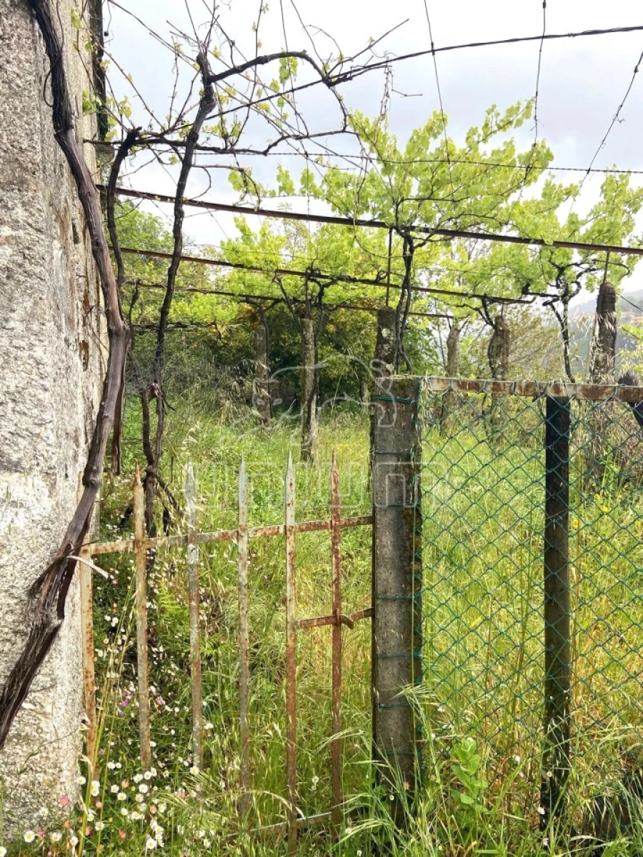 Moradia T2 para Venda em São Jorge e Ermelo Foto 8