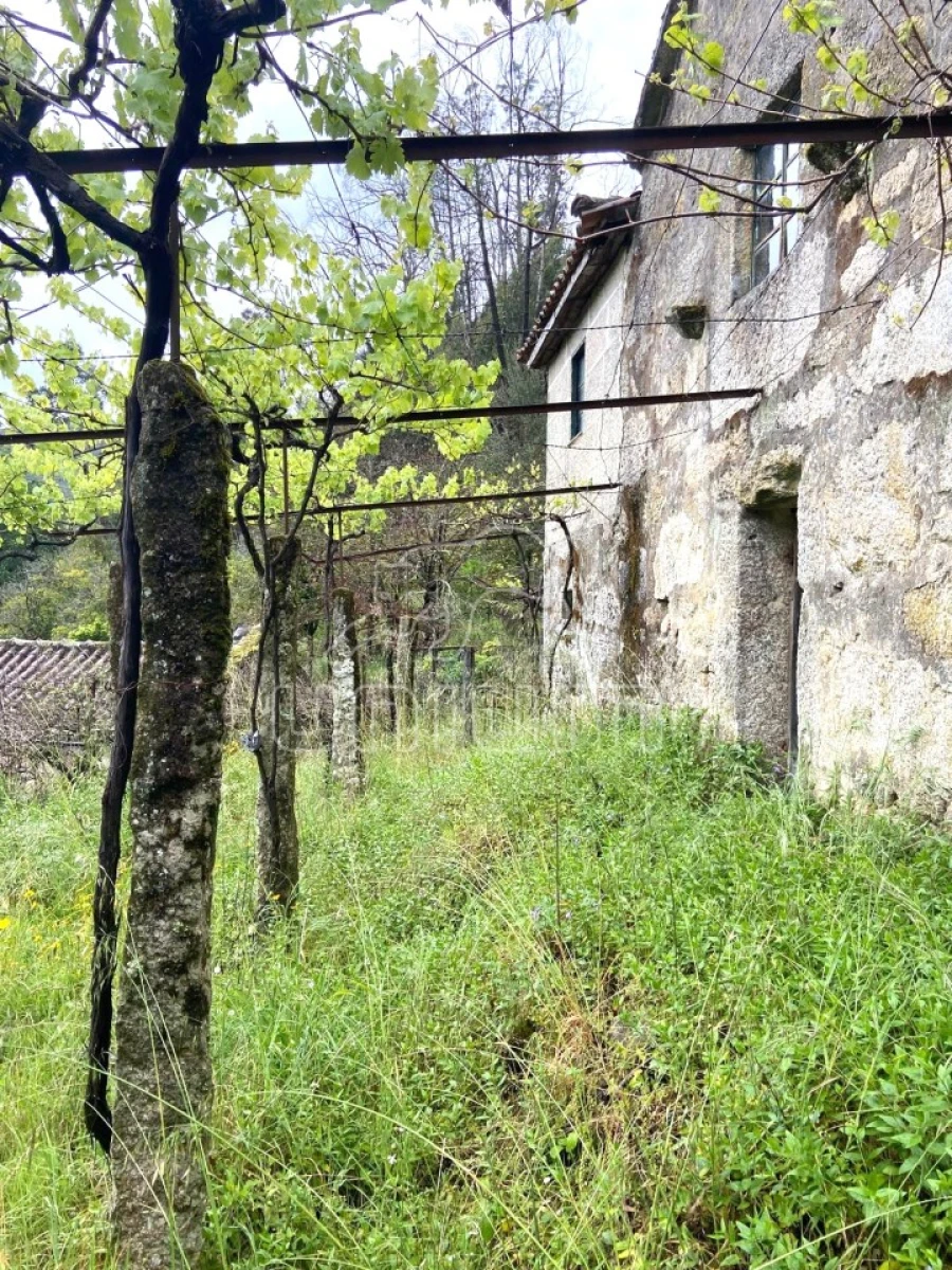 Moradia T2 para Venda em São Jorge e Ermelo Foto 11