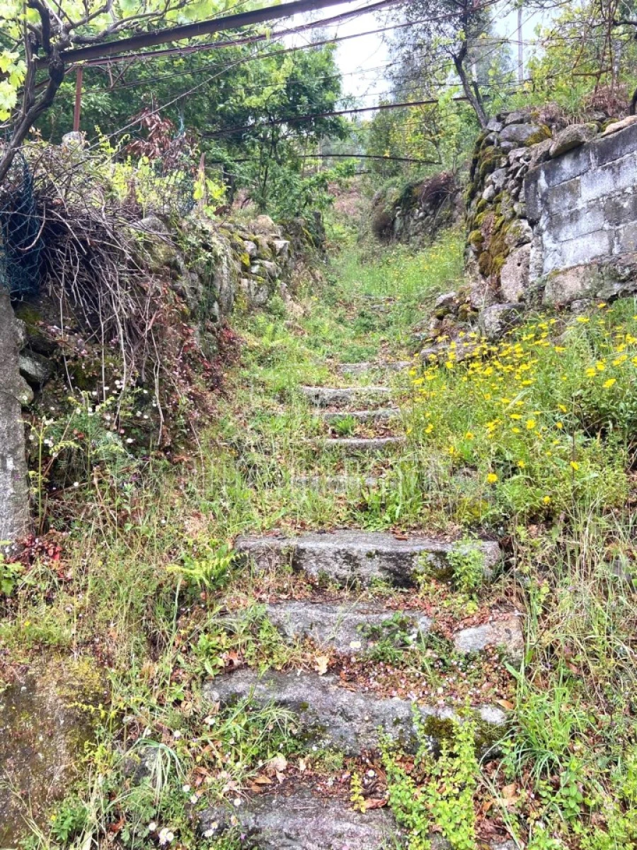 Moradia T2 para Venda em São Jorge e Ermelo Foto 12