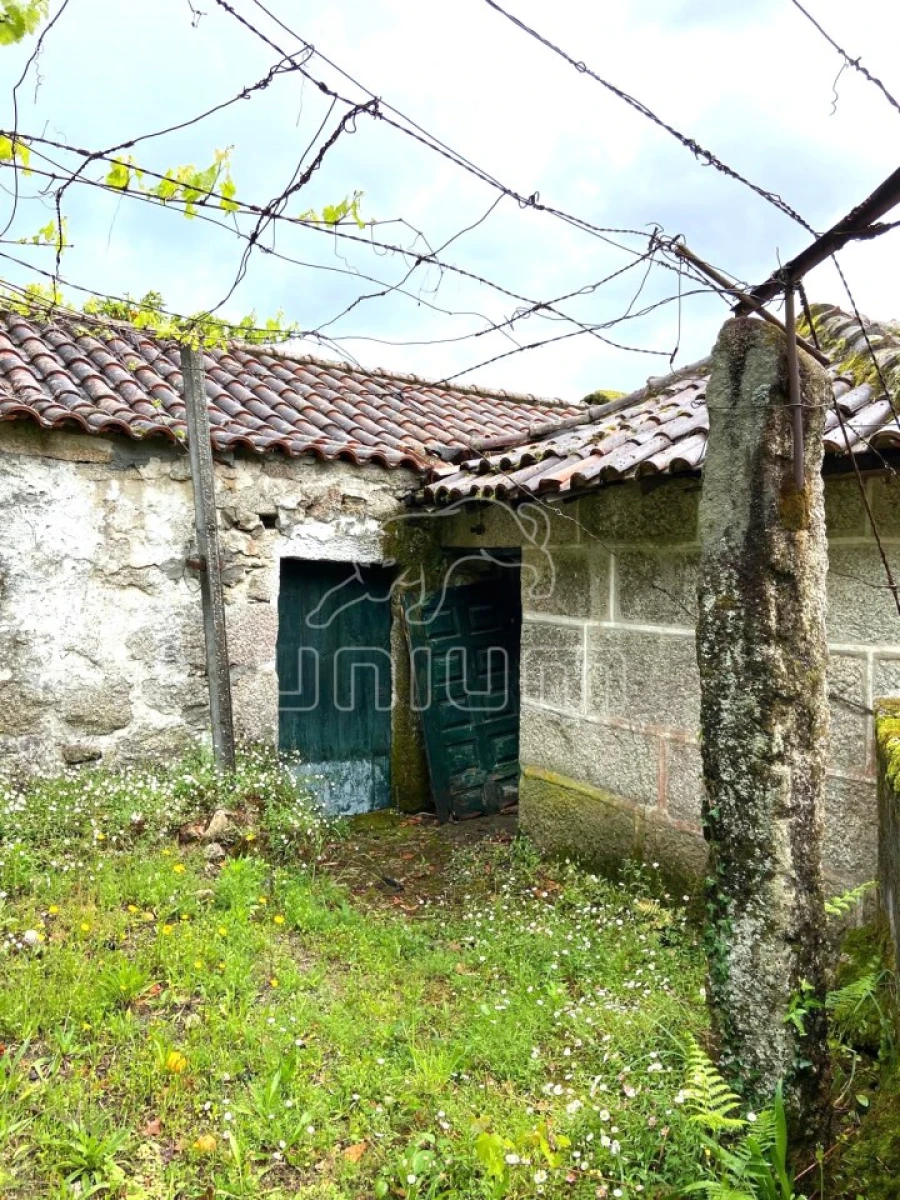 Moradia T2 para Venda em São Jorge e Ermelo Foto 13