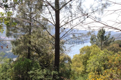 Moradia T2 para Venda em Penafiel