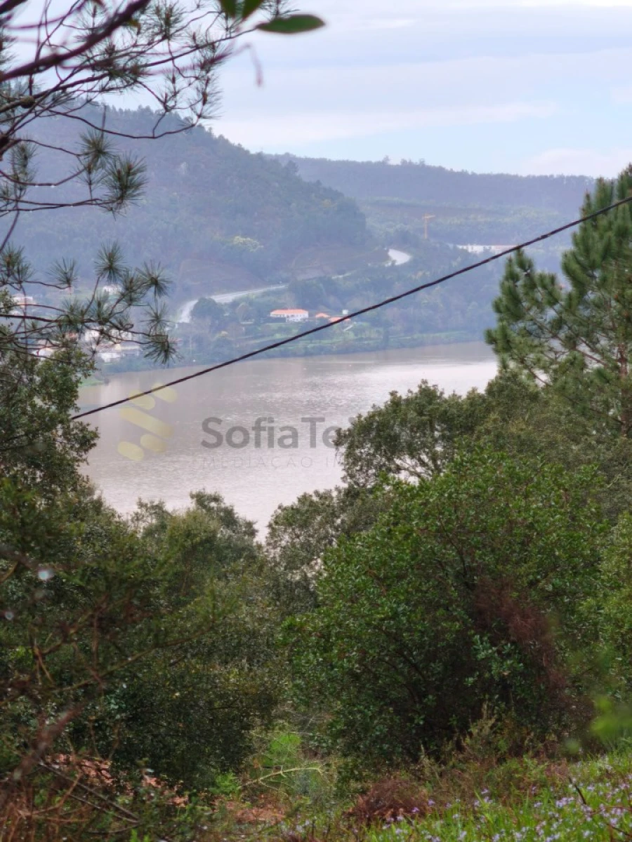 Moradia T2 para Venda em Penafiel Foto 12