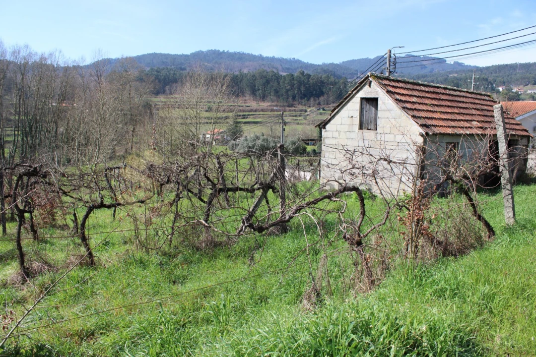Terreno Agricola ou Rústico para Venda em Vila Boa de Quires e Maureles Foto 1