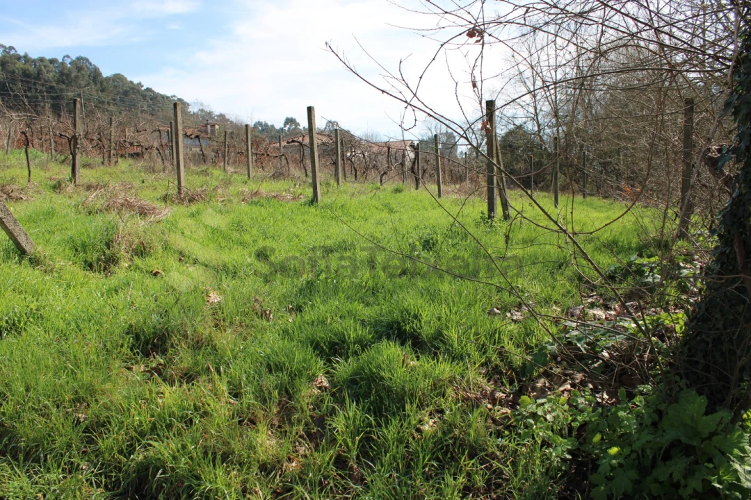 Terreno Agricola ou Rústico para Venda em Vila Boa de Quires e Maureles Foto 11