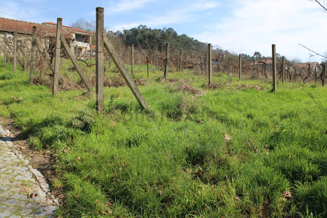 Terreno Agricola ou Rústico para Venda em Vila Boa de Quires e Maureles Foto 12