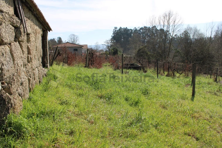 Terreno Agricola ou Rústico para Venda em Vila Boa de Quires e Maureles Foto 10