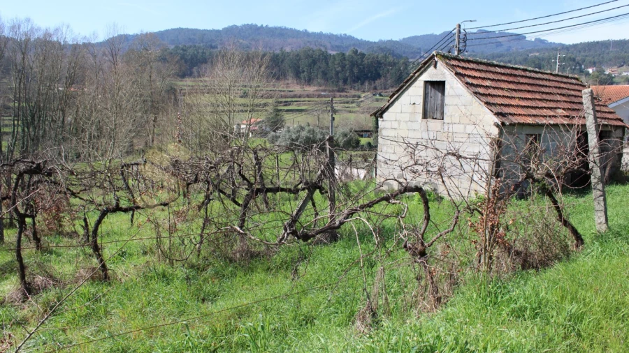 Terreno Agricola ou Rústico para Venda em Vila Boa de Quires e Maureles