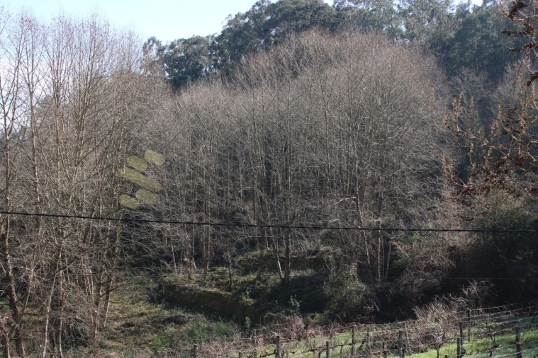 Moradia T6 para Venda em Vila Boa de Quires e Maureles Foto 32