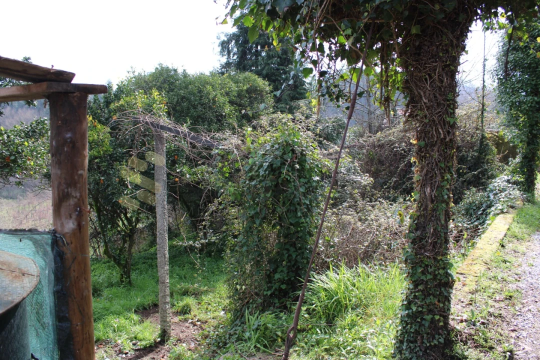 Quinta T3 para Venda em Vila Boa de Quires e Maureles Foto 5