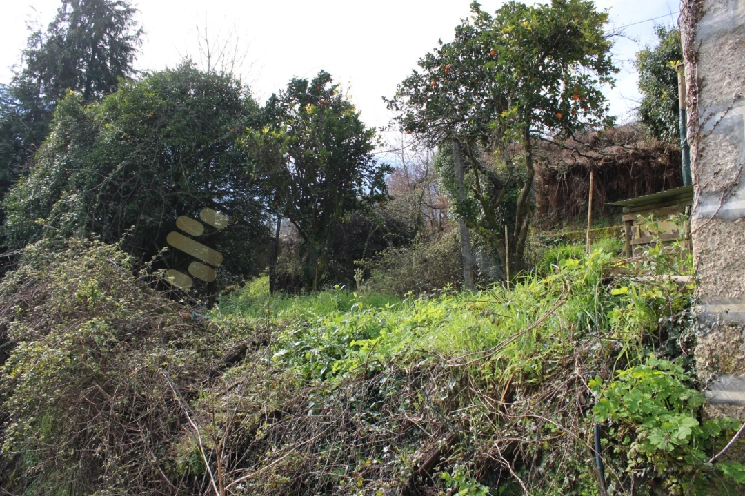 Quinta T3 para Venda em Vila Boa de Quires e Maureles Foto 16