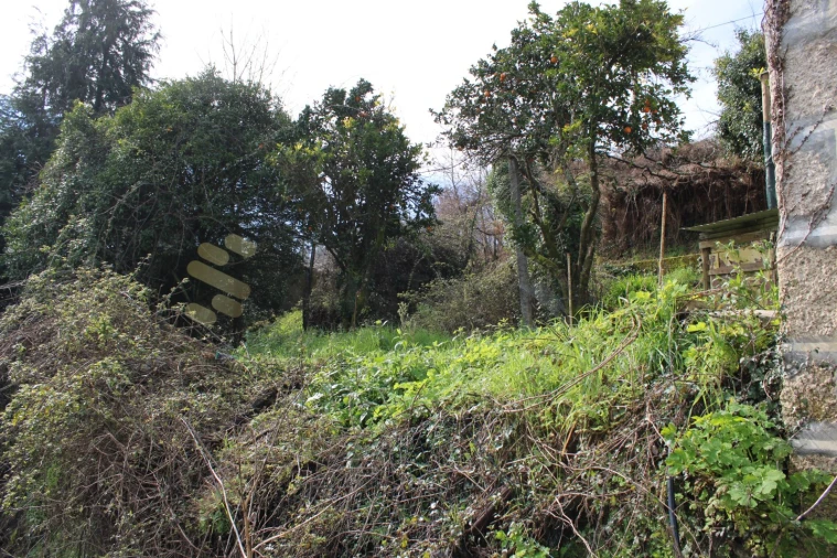 Quinta T3 para Venda em Vila Boa de Quires e Maureles Foto 16