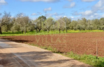 Terreno Agricola ou Rústico para Venda em Paderne