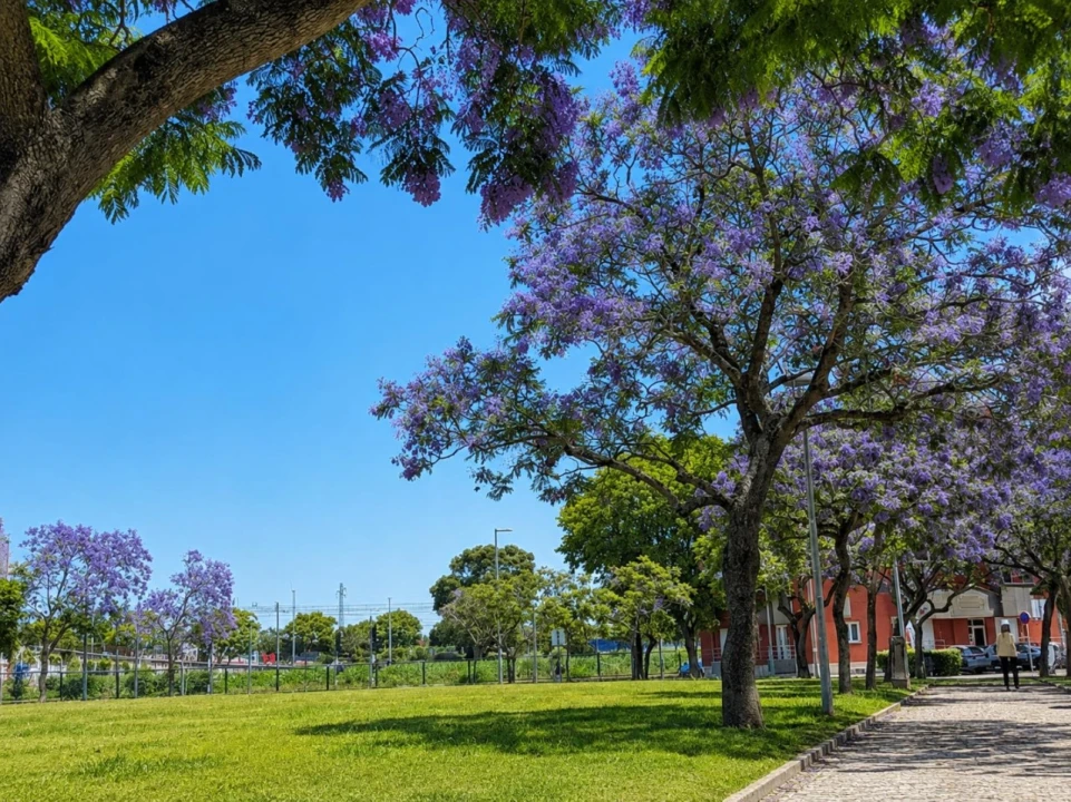 Apartamento T4 para Venda em Glória e Vera Cruz Foto 27