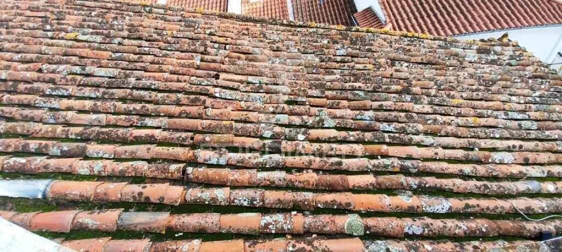 Moradia T6 para Venda em Ribeira de Nisa e Carreiras Foto 12