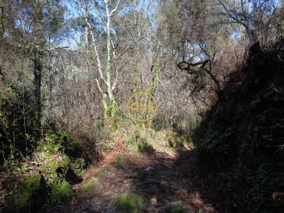 Terreno para Venda em Valdreu Foto 20