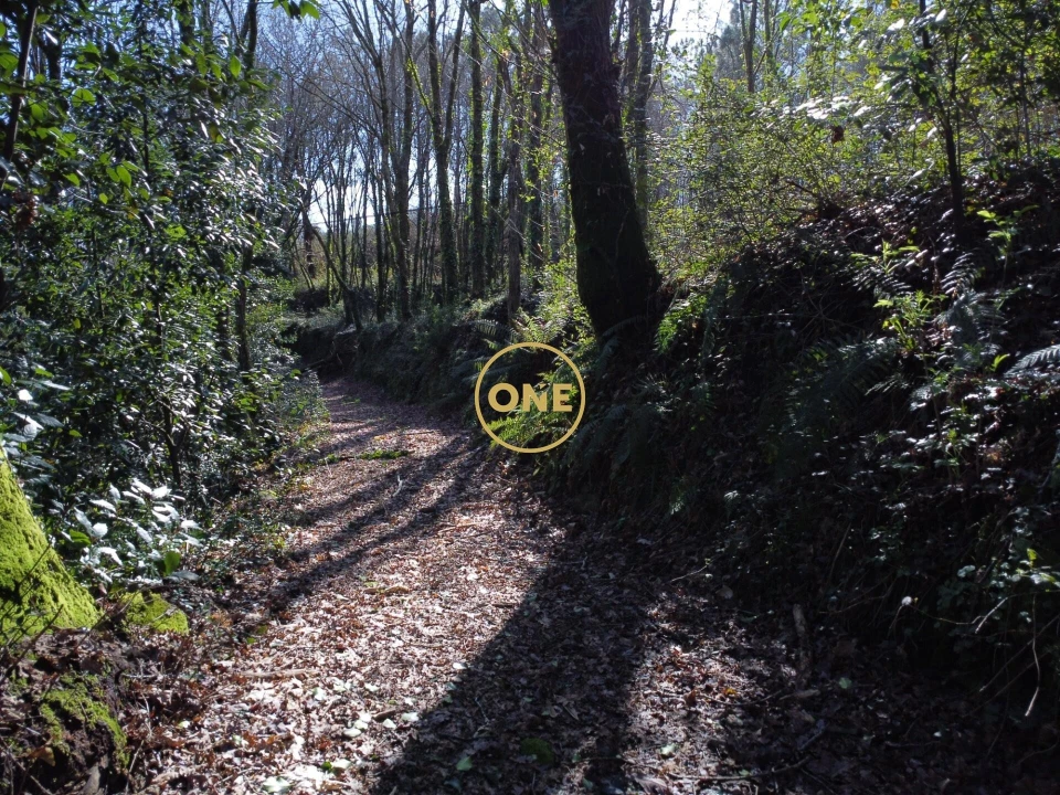 Terreno para Venda em Valdreu Foto 8