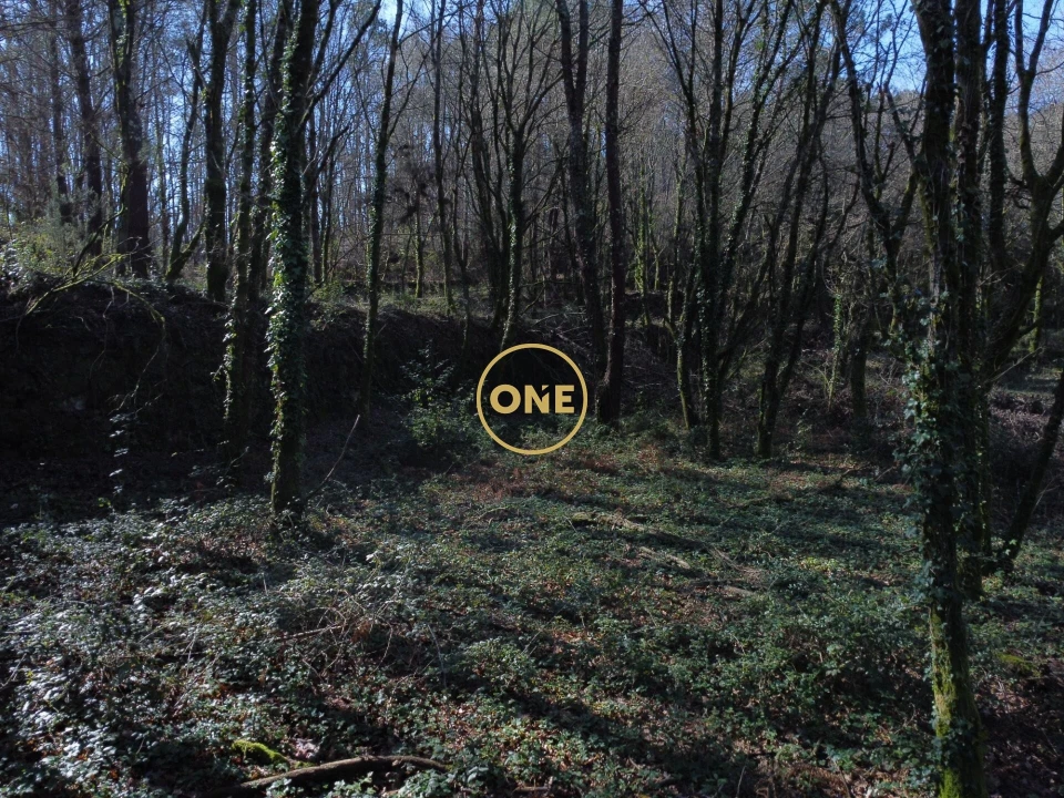 Terreno para Venda em Valdreu Foto 13