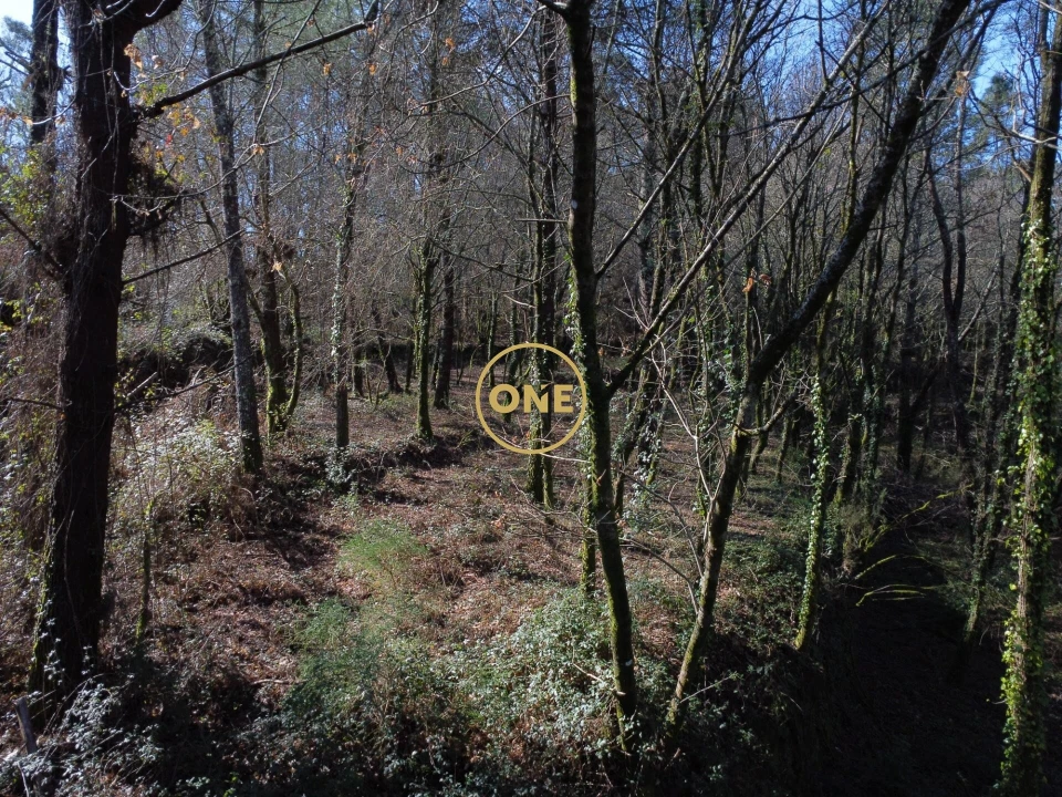 Terreno para Venda em Valdreu Foto 15