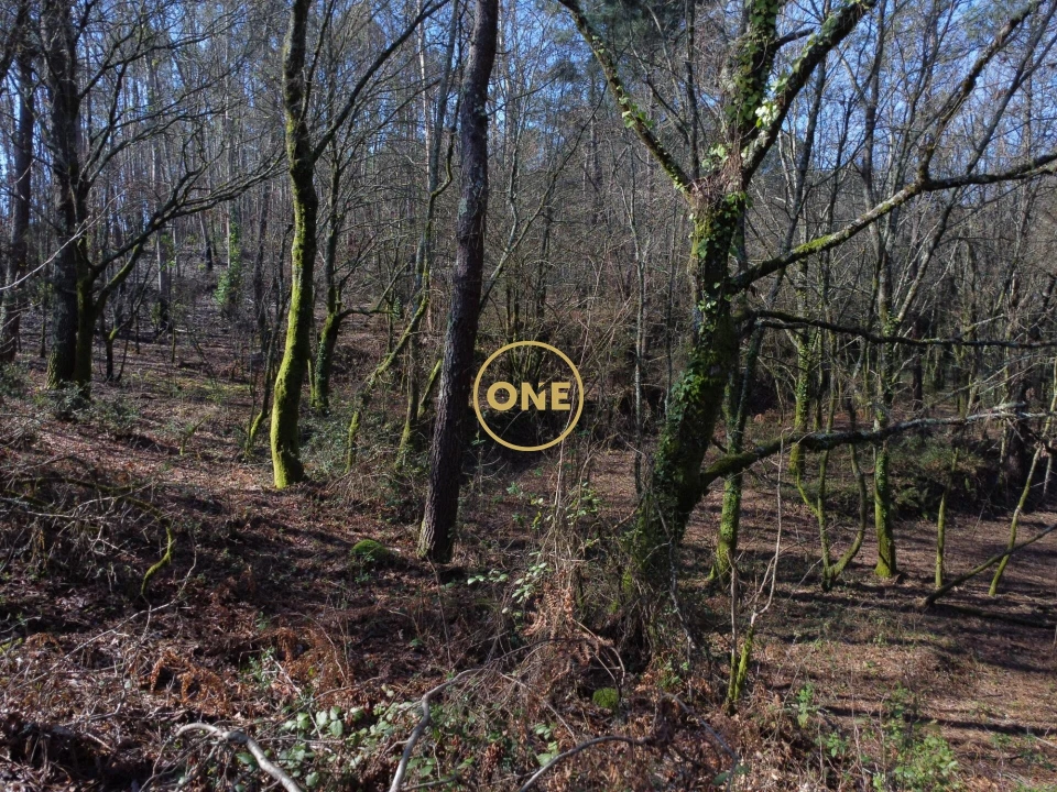 Terreno para Venda em Valdreu Foto 18