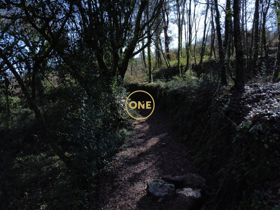 Terreno para Venda em Valdreu Foto 12