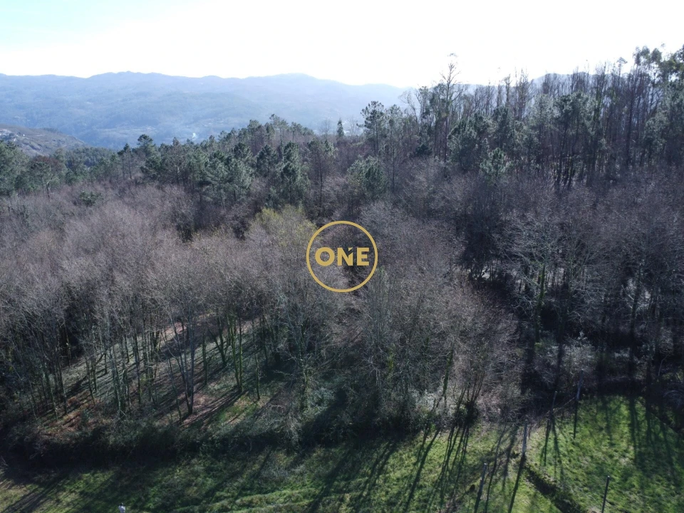 Terreno para Venda em Valdreu Foto 5