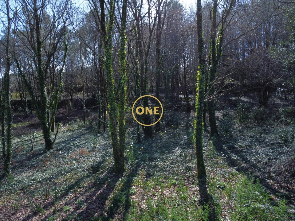 Terreno para Venda em Valdreu Foto 4