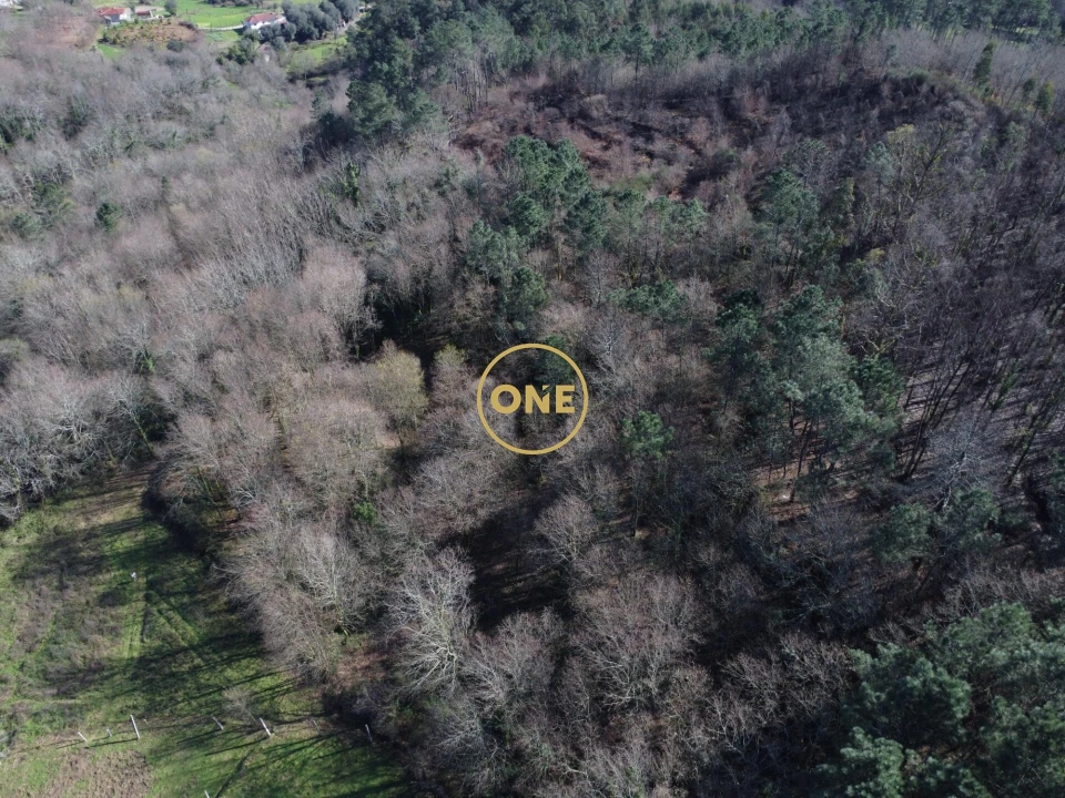 Terreno para Venda em Valdreu Foto 6