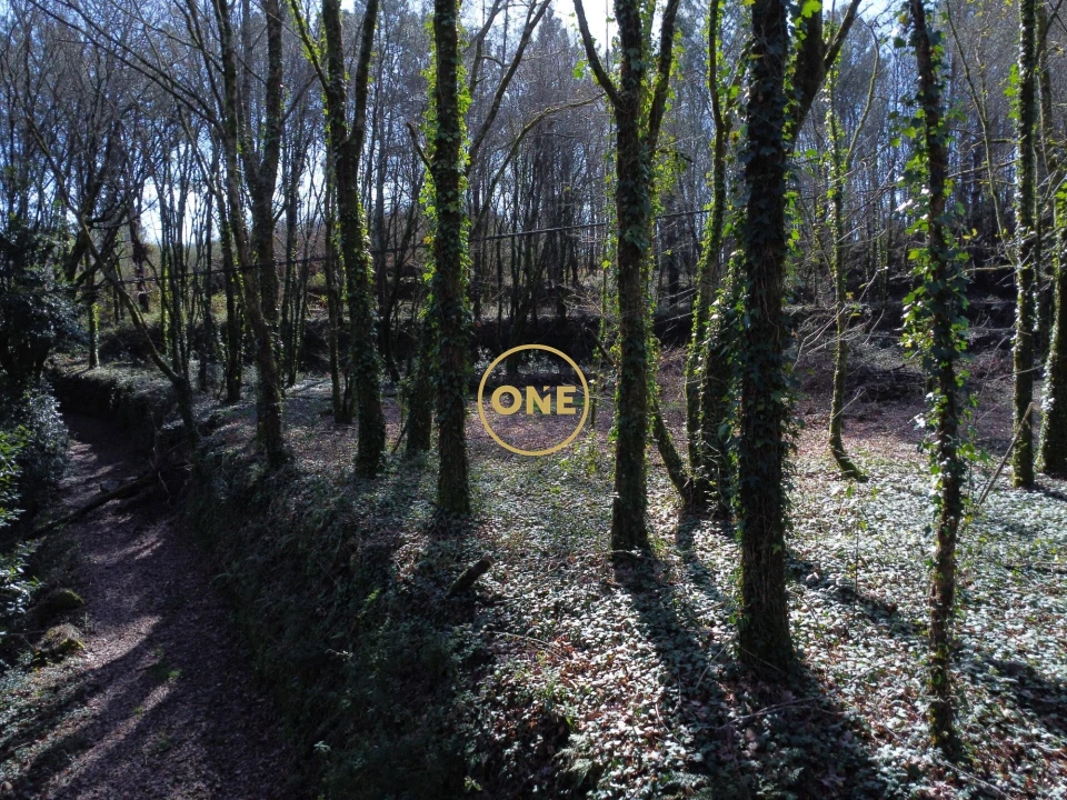 Terreno para Venda em Valdreu Foto 9