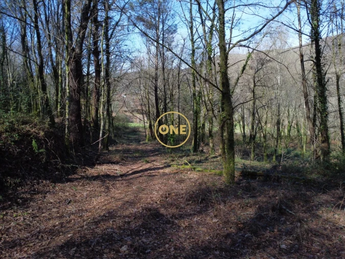 Terreno para Venda em Valdreu Foto 21