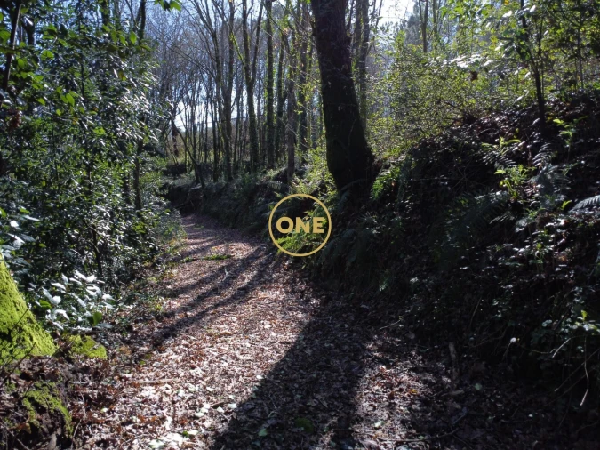 Terreno para Venda em Valdreu Foto 8