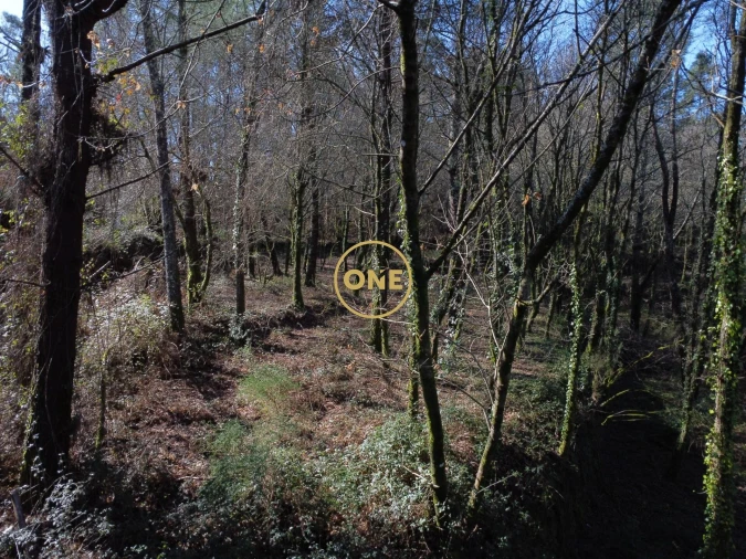 Terreno para Venda em Valdreu Foto 15