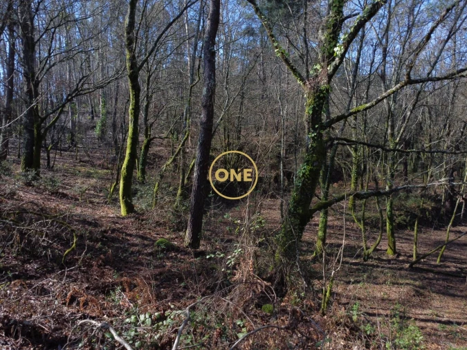 Terreno para Venda em Valdreu Foto 18