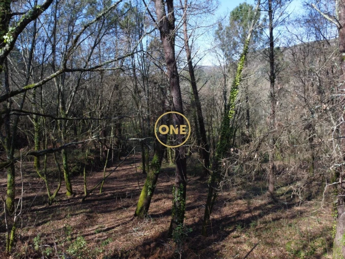 Terreno para Venda em Valdreu Foto 17