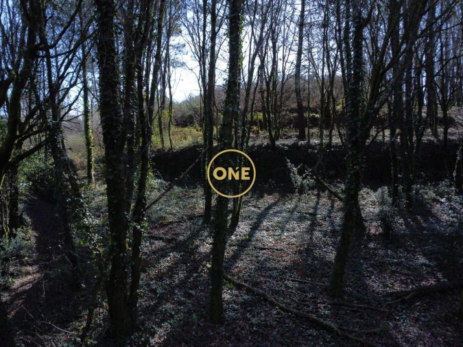 Terreno para Venda em Valdreu Foto 11