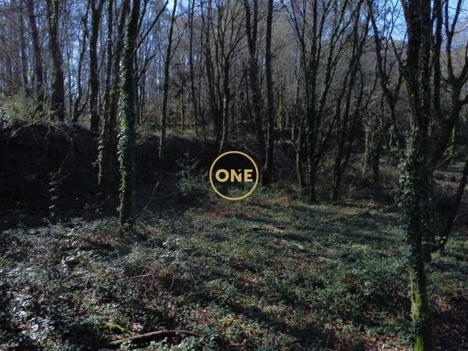 Terreno para Venda em Valdreu Foto 14