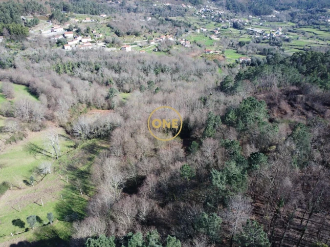 Terreno para Venda em Valdreu Foto 3