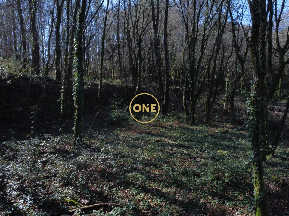 Terreno para Venda em Valdreu Foto 14