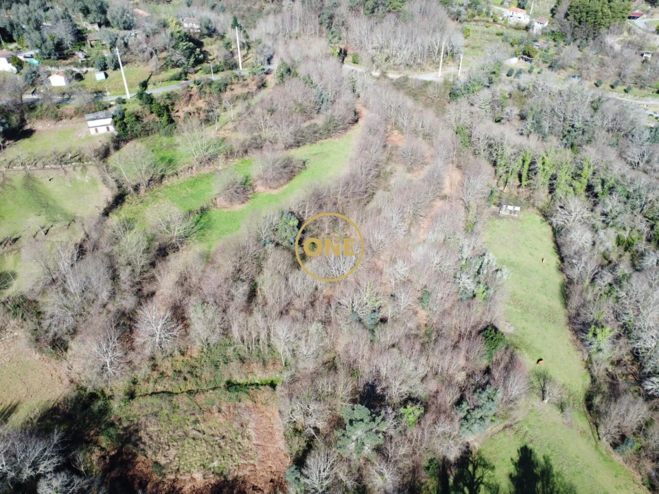 Terreno para Venda em Valdreu Foto 1
